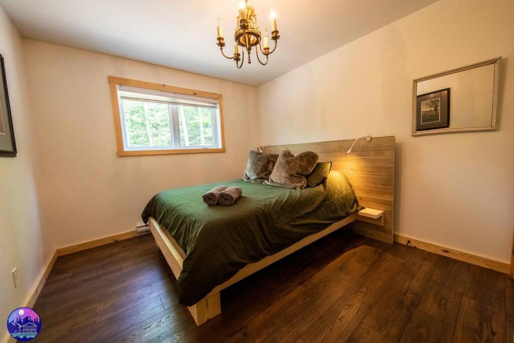 Deschamps- Spa- Chien Accepte- Nature- Estrie Mansonville